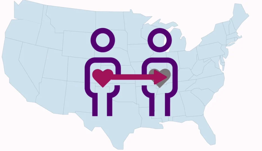 Organ Transplant Allocation